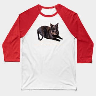 Don’t Worry Human We Will Survive This Together Baseball T-Shirt